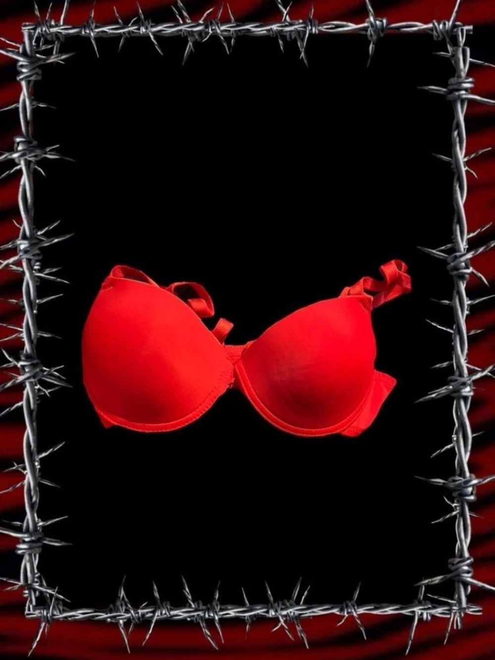 Red Bra Like New